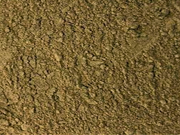 生物除臭濾池除臭效果影響因素主（zhǔ）要看（kàn）生物菌種
