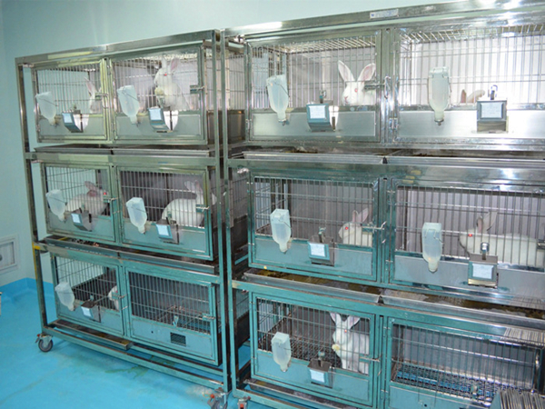 實驗（yàn）室動物房臭氣處理方法