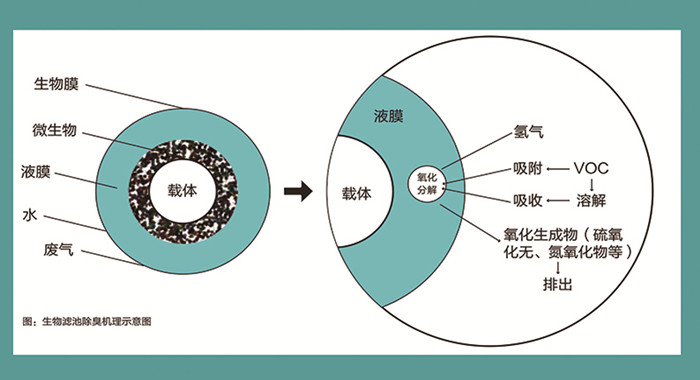 生物除臭工作（zuò）原（yuán）理