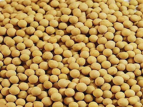 大豆油脂廢氣處理工藝（yì）